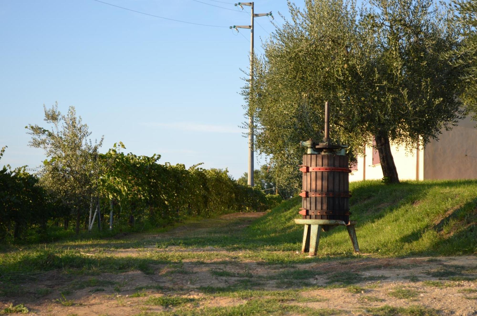 Agriturismo Casale Contessa Montebuono  Exterior foto